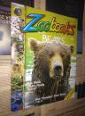 Zoobooks BEARS 英文儿童动物摄影 熊 英语学习资料