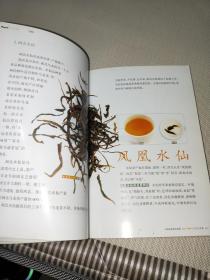 轻松品饮乌龙茶