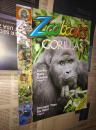 Zoobooks GORILLAS  英文儿童动物摄影 大猩猩 英语学习资料