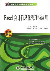 （高职高专）Excel 会计信息化管理与应用