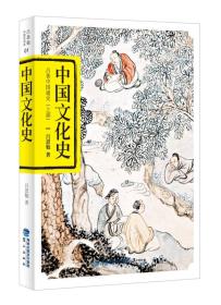 中国文化史 中国通史 上部 吕思勉 社会文明历史青少年