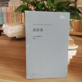 浪游者