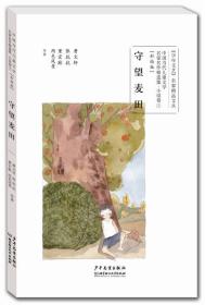 中国当代儿童文学名家名作精选集（彩绘版）小说卷1：守望麦田