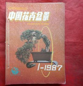 中国花卉盆景-87年1-11期 共11册