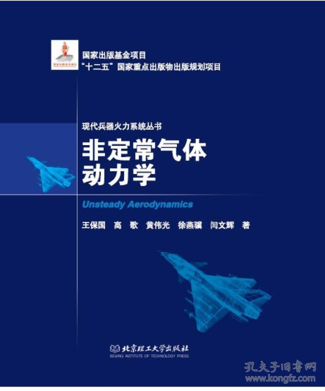 非定常气体动力学