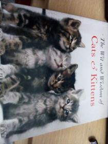 * The Wit and Wisdom of Cats & Kittens（英文原版寵物攝影圖集）/;LJ