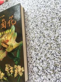 中国名花专著系列：中国兰花（奇花艺研究及奇花名品鉴赏）