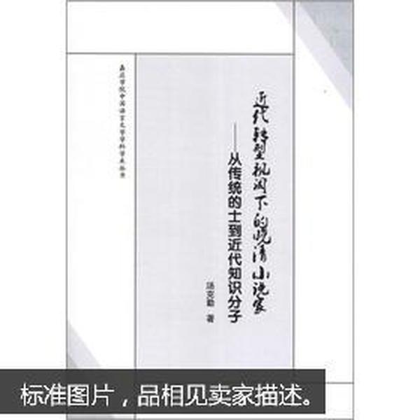 嘉应学院中国语言文学科学学术丛书·近代转型视阈下的晚清小说家：从传统的士到近代知识分子