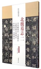 北魏墓志二 司马昞墓志元遥墓志元珽妻穆玉容墓志李璧墓志元倪墓志