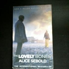 英文原版: THE LOVELY BONES