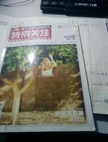 特别关注。期刊