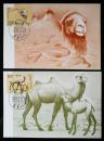 极限片：1993－3“骆驼”邮票（2枚/套，均原地戳）