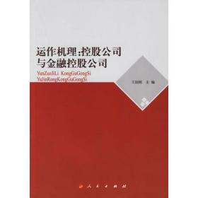 运作机理：控股公司与金融控股公司