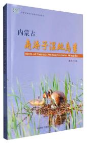 内蒙古南海子湿地自然保护区：内蒙古南海子湿地鸟类