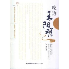 吃透王阳明<梦山书系>