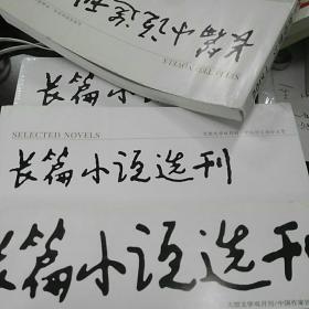 长篇小说选刊2025年第2期