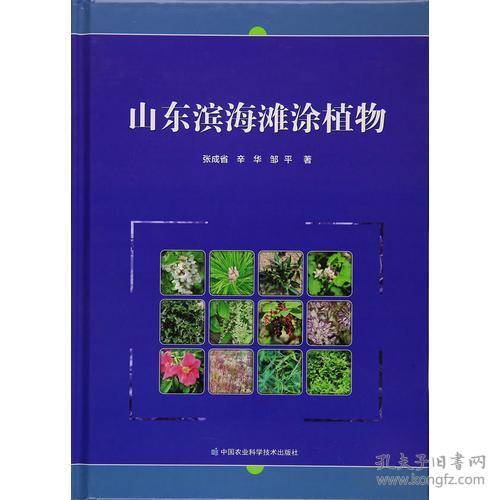 山东滨海滩涂植物