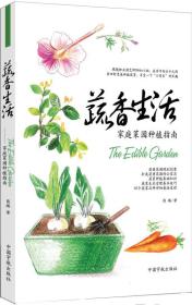 蔬香生活：家庭菜园种植指南