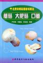 食用菌大肥菇种植技术教学书籍 蘑菇大肥菇口蘑