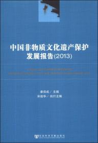 中国非物质文化遗产保护发展报告（2013）