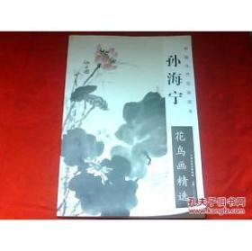 孙海宁花鸟画精选——中国当代绘画范本（内外页干净）