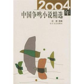 2004年中国争鸣小说精选