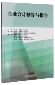 企业会计核算与报告