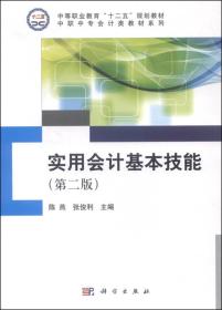 实用会计基本技能（第二版）