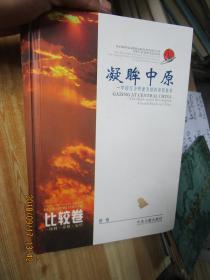 凝眸中原.中国经济快速发展的第四板块【比较卷】精装 书不太周正