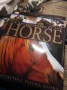 THE ENCYCLOPEDIA OF THE HORSE