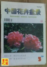 J22 《中国花卉盆景》（1999年第05期总第172期）