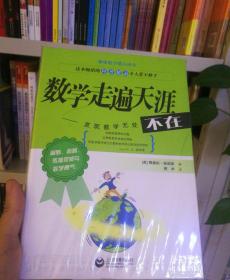 趣味数学精品译丛：数学走遍天涯——发现数学无处不在