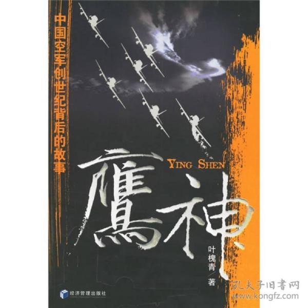 鹰神：中国空军创世纪背后的故事