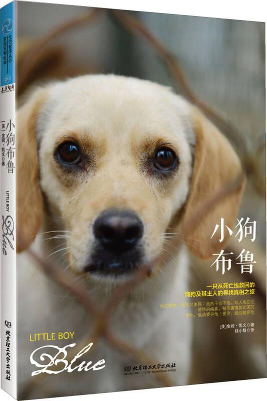 小狗布鲁 凯文 北京理工大学出版社
