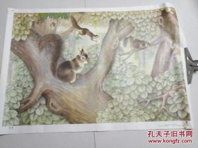 老画家袁兆熊根据同名散文创作的动物画：松鼠（此为对开画，宽76厘米，共52厘米；图中描绘了松鼠在松树上爬行、跳跃、蹲伏、觅食的生动场景，将松鼠的各种形态活灵活现的展现在读者面前）