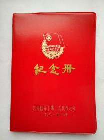 80年代老塑料日记：中国共青团纪念册 共青团井下第三次代表大会一九八一年十月（天津市东风制本厂80.43.36开100页）【内有著名连环画画家华三川绘制的红楼梦人物彩色插页6幅】