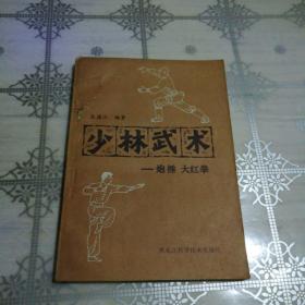 少林武术一一炮捶  大红拳