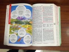 个人藏书  培生教育出版有限公司  繁体版 无光盘 朗文进阶英汉双解词典 第2版 LONGMAN  ACTIVE STUDY  ENGLISH -CHINESE DICTIONARY