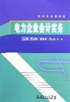 電力企業(yè)會(huì)計(jì)實(shí)務(wù)