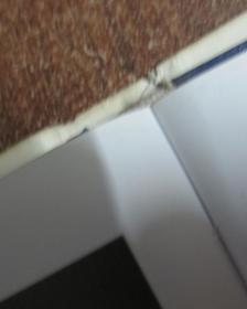 历代名家书法大观:蔡襄书法荟萃【库存书】