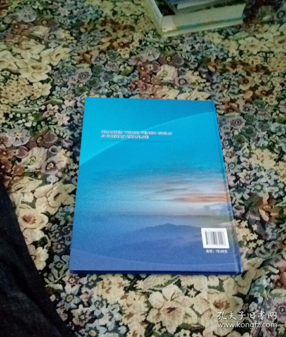 全球油气分布规律及发展战略