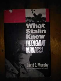 DAVID E.MURPHY: WHAT STALIN KNEW THE ENIGMA OF BARBAROSSA