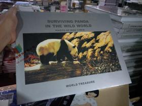 大熊猫画册Surviving panda in the wild world正版精装摄影艺术 熊猫摄影 画集 画册