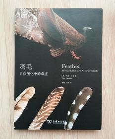羽毛：自然演化的奇迹
