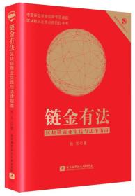 链金有法 区块链商业实践与法律指南（精装）