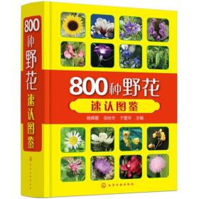 800种野花速认图鉴