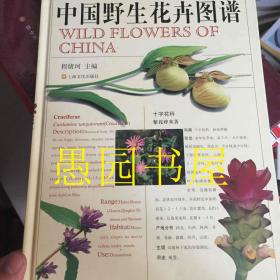 中国野生花卉图谱
