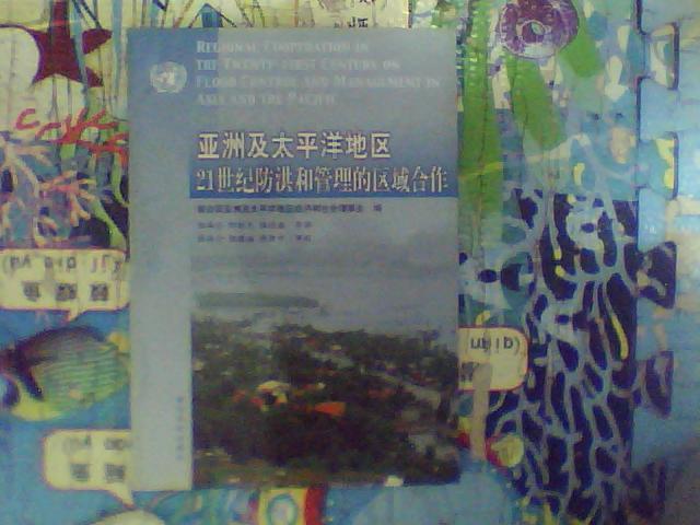 亞洲及太平洋地區(qū)21世紀(jì)防洪和管理的區(qū)域合作