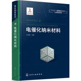 纳米材料前沿--电催化纳米材料