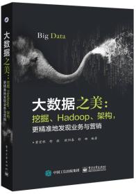 大数据之美——挖掘，Hadoop架构，更精准地发现业务与营销9787121293443